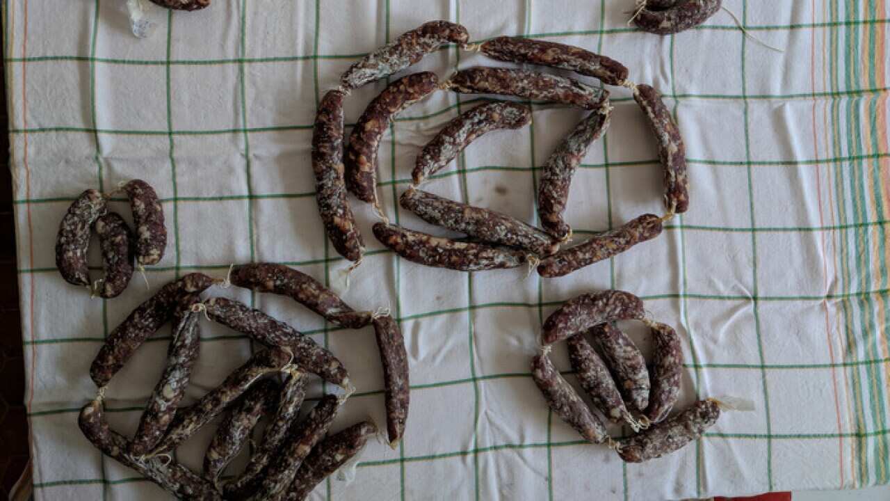 salami
