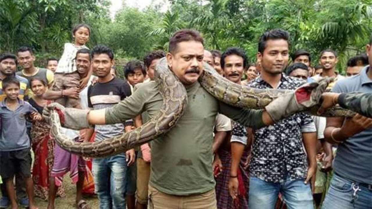 An Indian forest ranger was nearly strangled after taking a photo with a python.