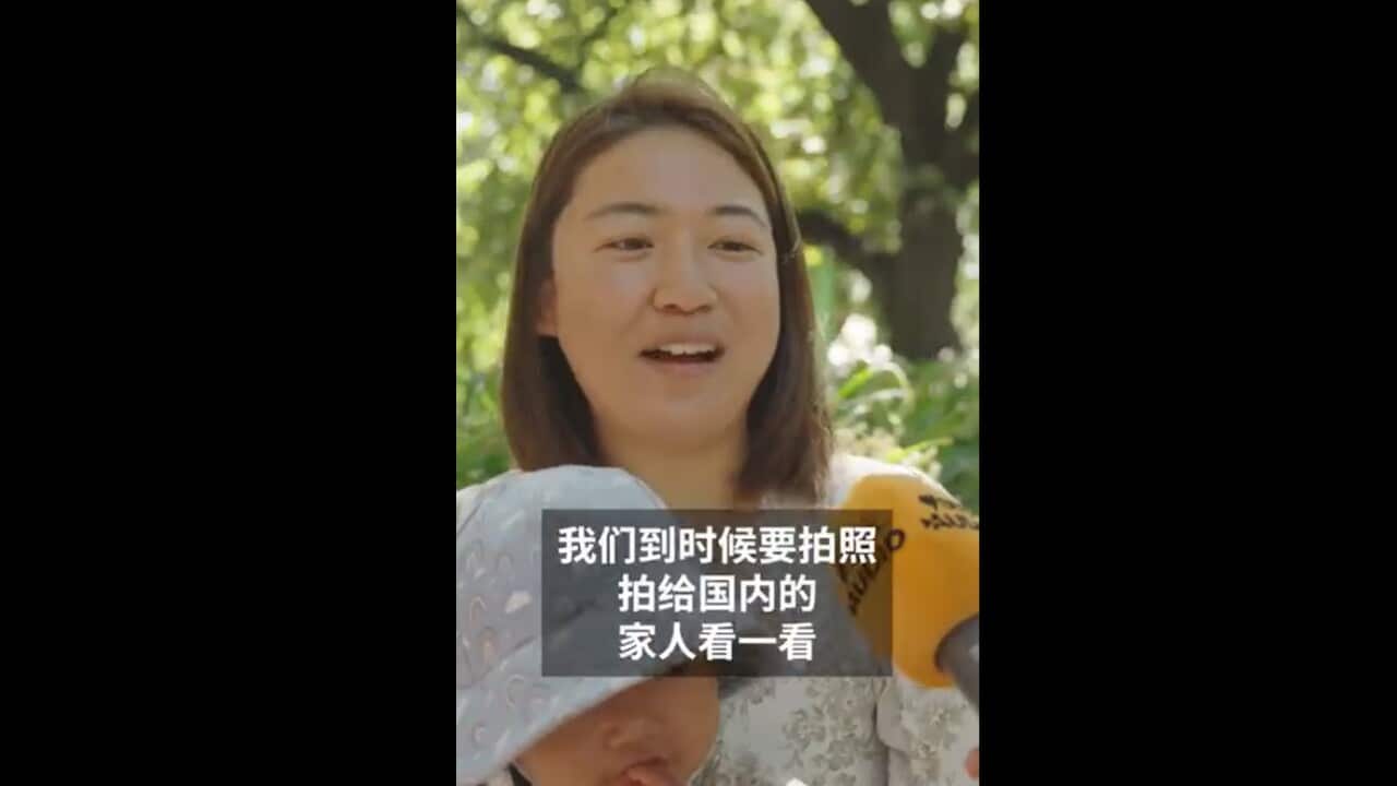 lny vid 4.jpg