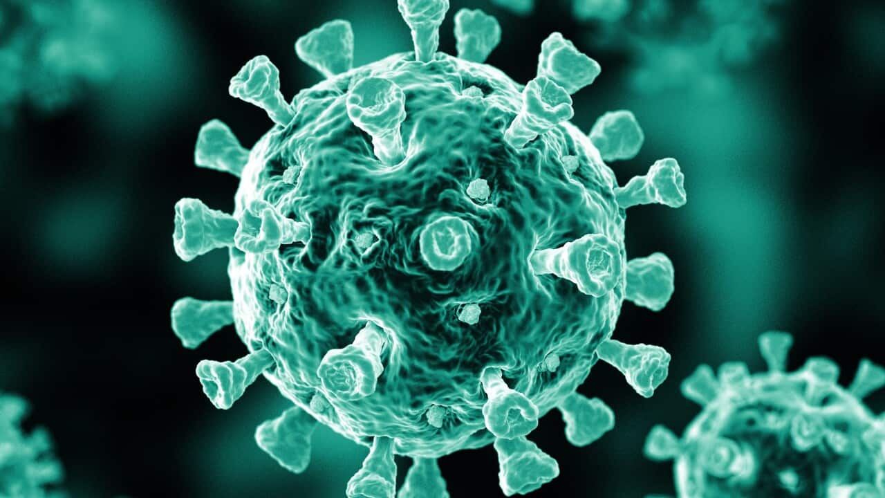 CoronaVirus Mono Blue