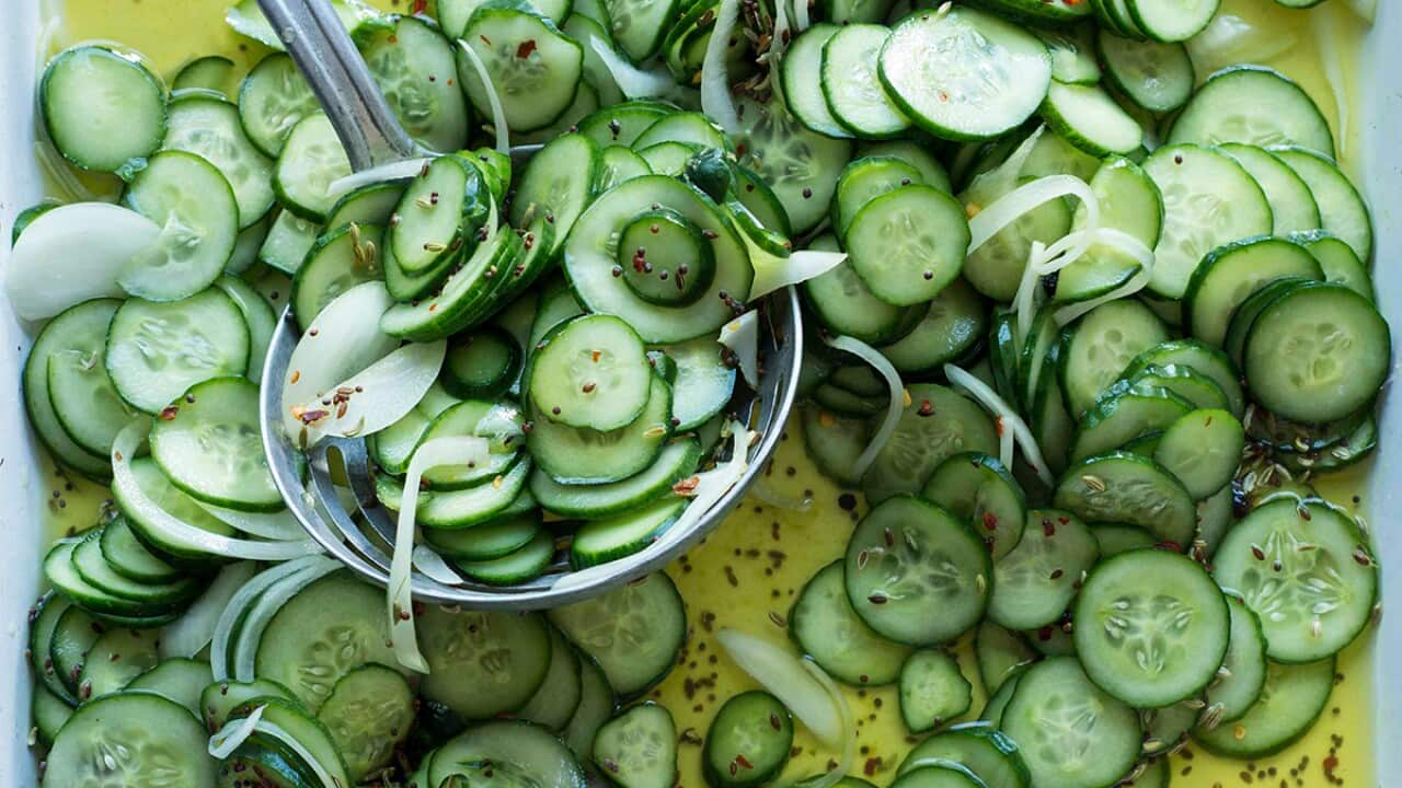 Bread and butter cucumber pickles