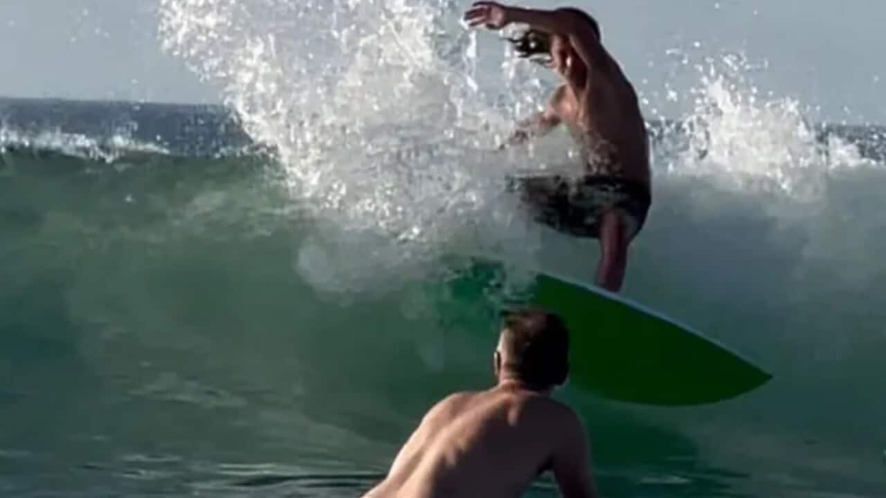 SOUTH AUSTRALIA FATAL SHARK ATTACK
