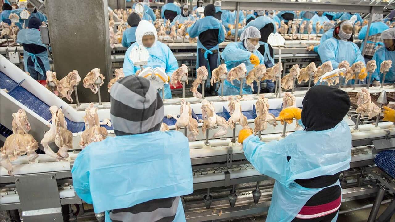 US Poultry worker