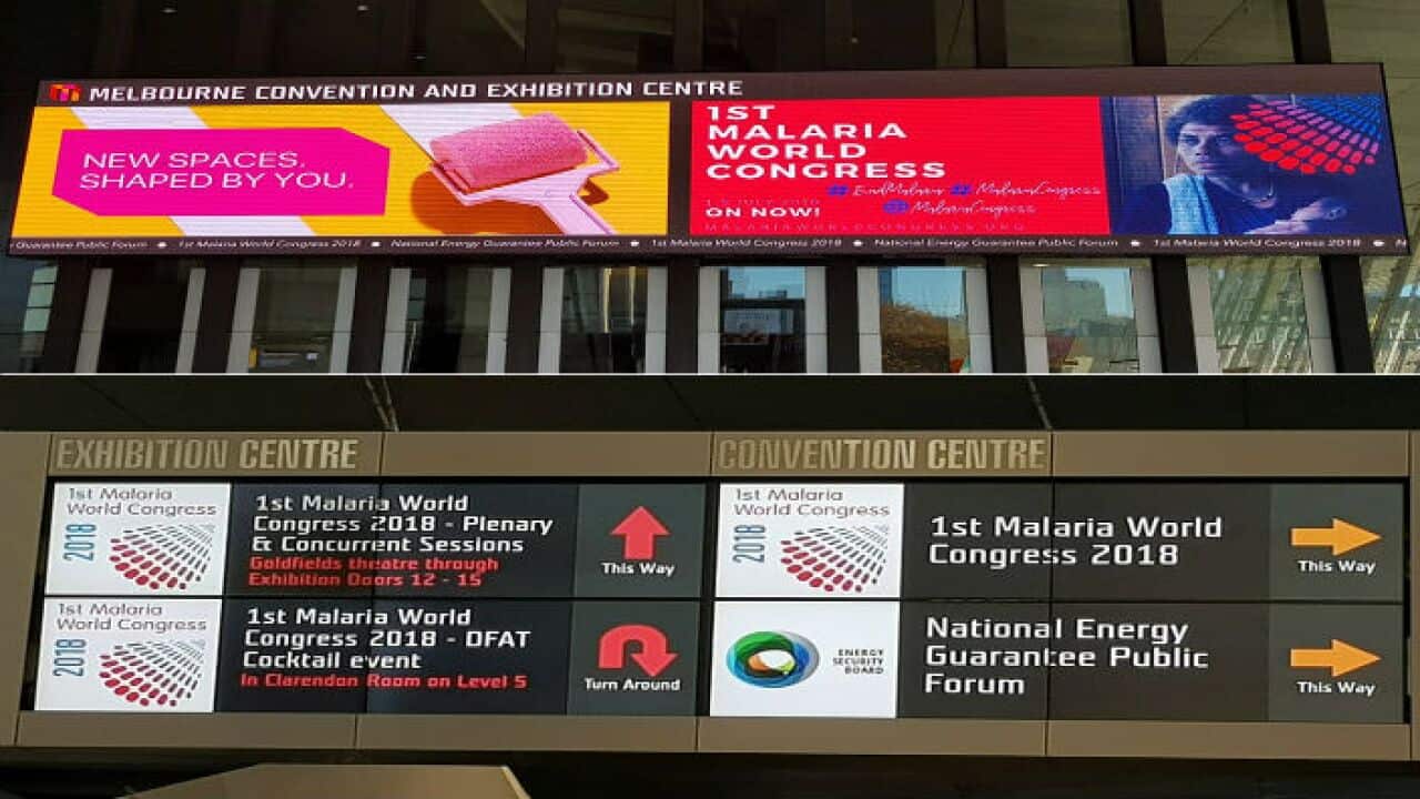1st World Malaria Congress