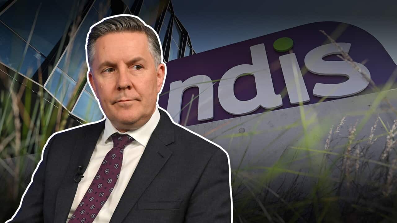 NDIS Mark Butler composite
