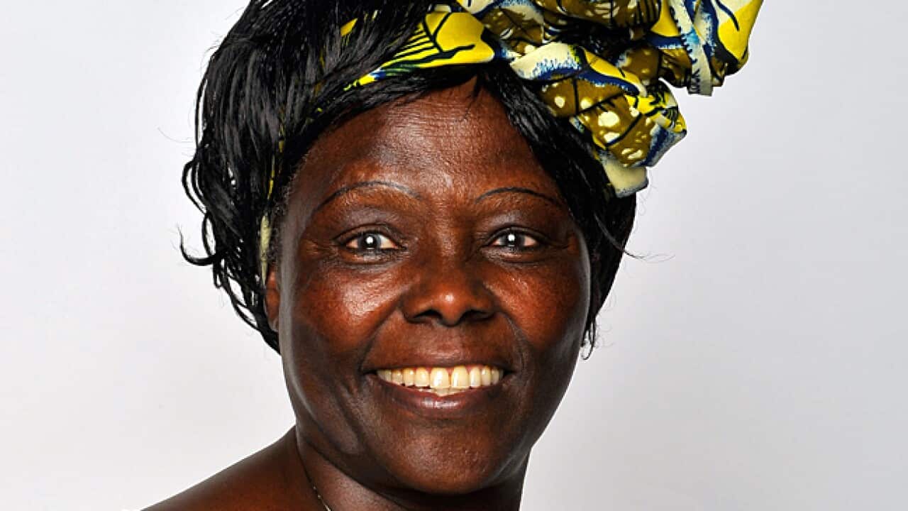 wangari_maathai_L_110825_getty_90369075