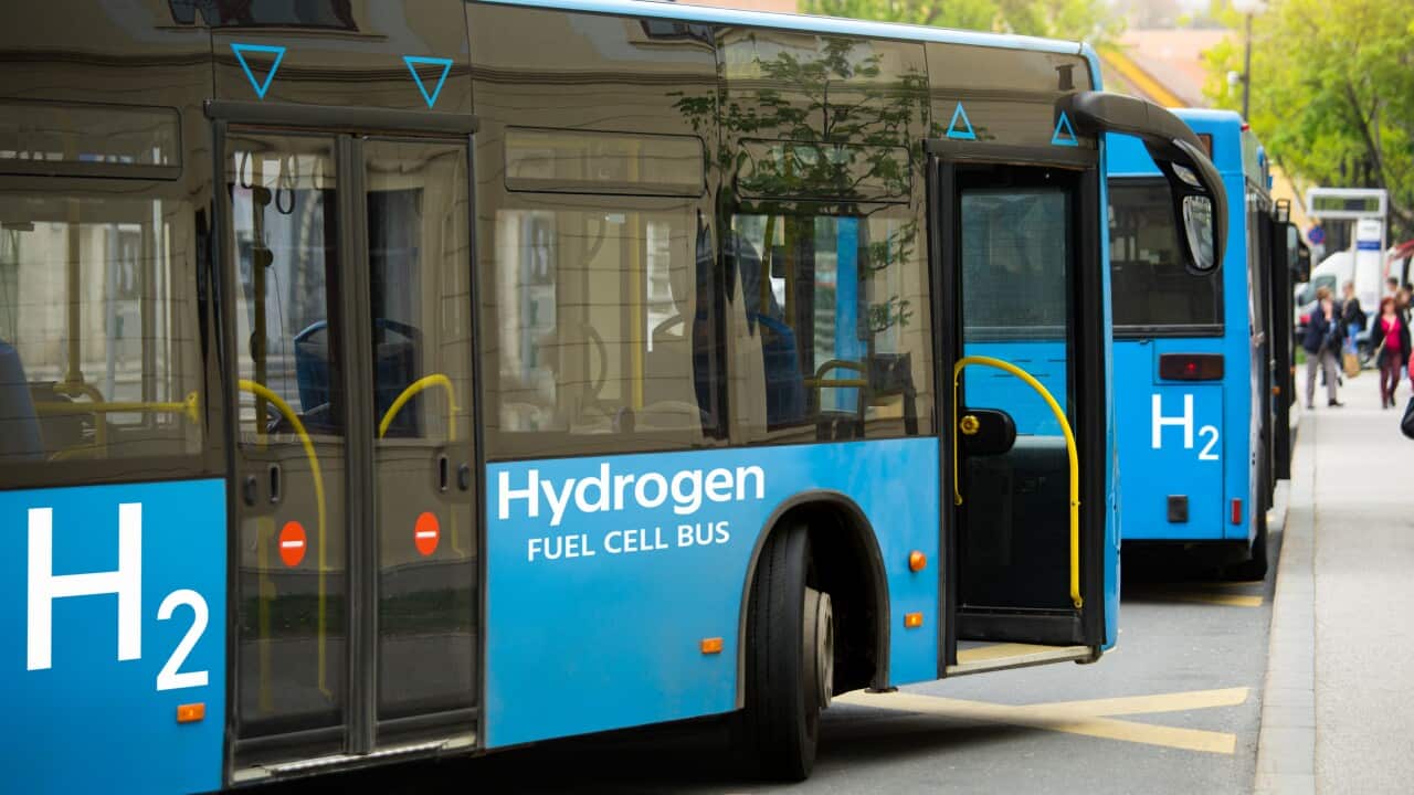 A hydrogen fuel cell buses