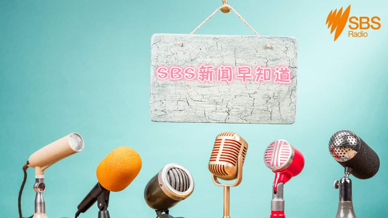 sbs news