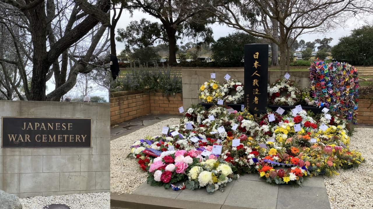 Image for read more article 'もっと聞く'