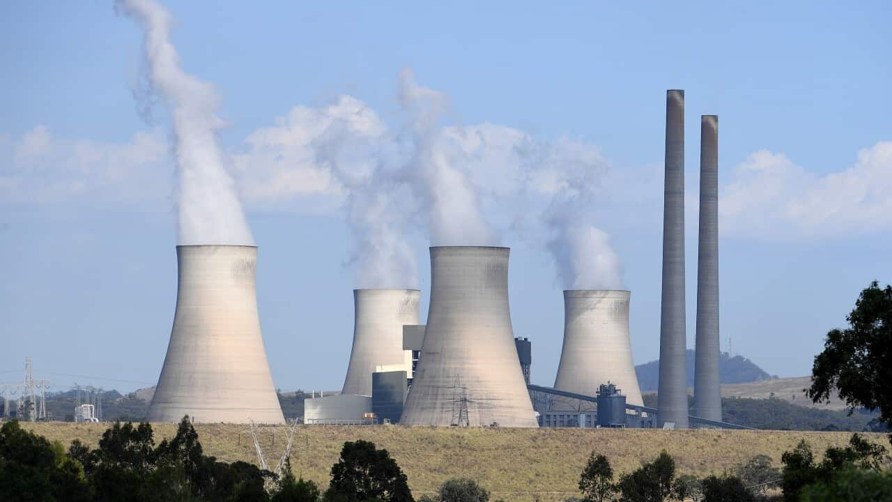 The Bayswater power station, near Muswellbrook in the Hunter region of NSW.