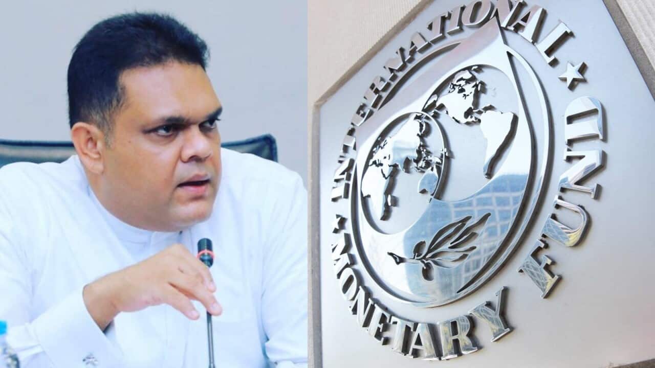 Collage Maker-26-Sep-2023-12-24-PM-4906.jpg