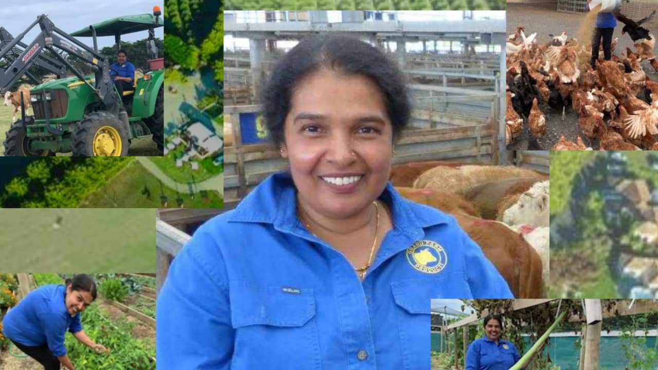 Image for read more article 'Read & Listen More'