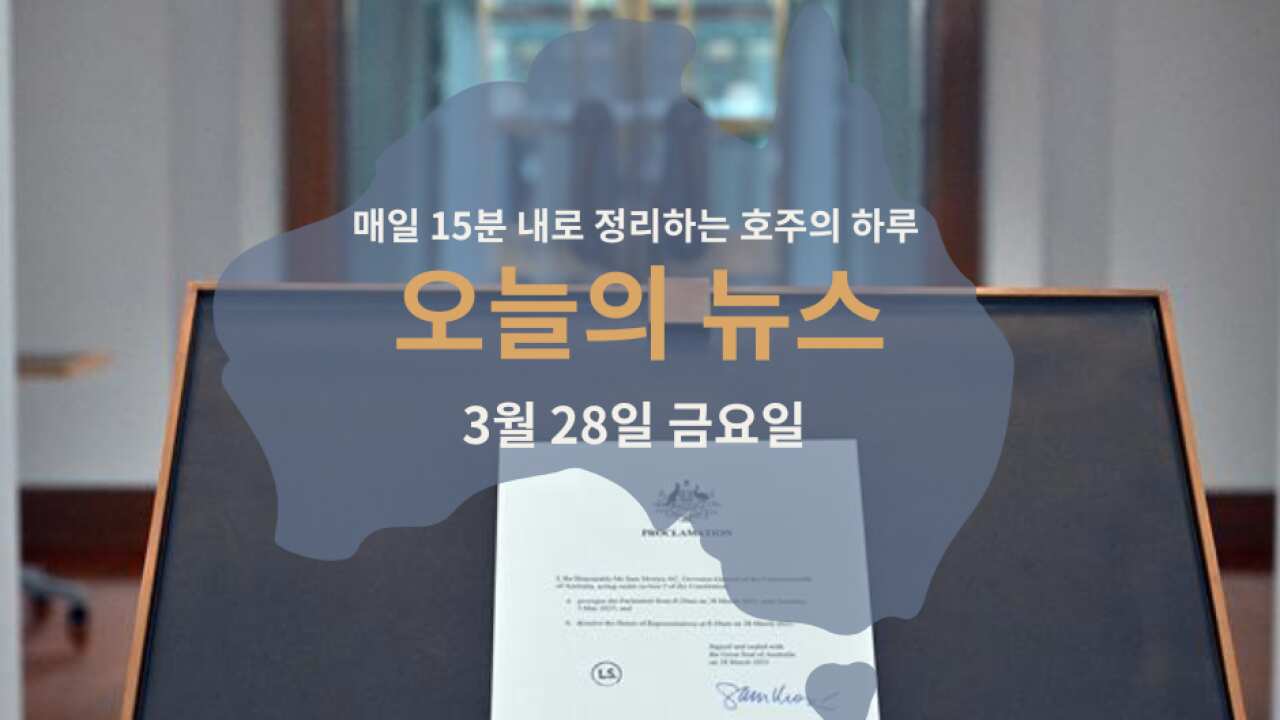 250325 WEB.png