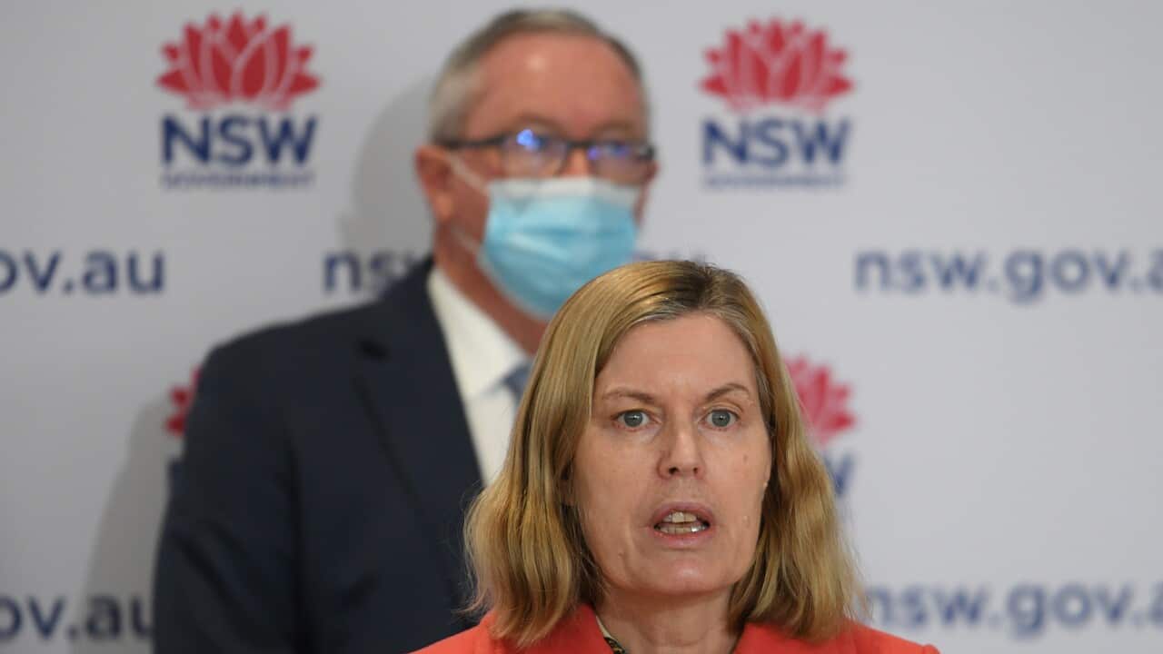 NSW Chief Medical Officer Dr Kerry Chant and Health Minister Brad Hazzard during a COVID-19 update in Sydney