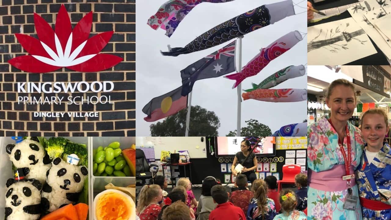 Image for read more article 'RELATED CONTENTS'