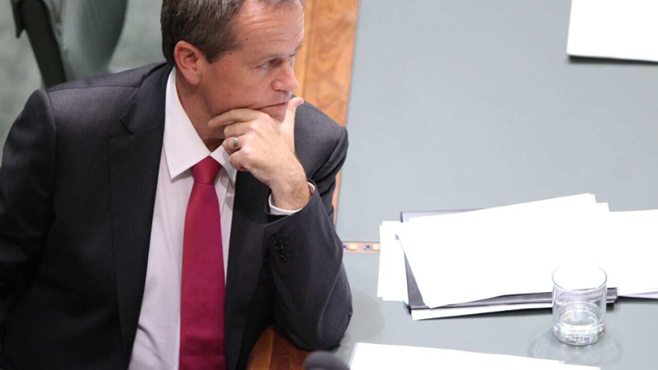 Bill Shorten during question time