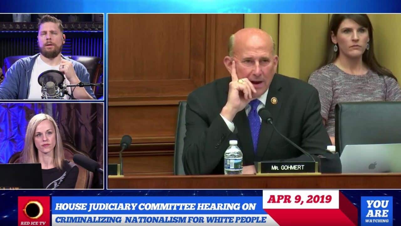 Screenshot from House Judiciary committee Hearing on Criminalizing Nationalism for White People.