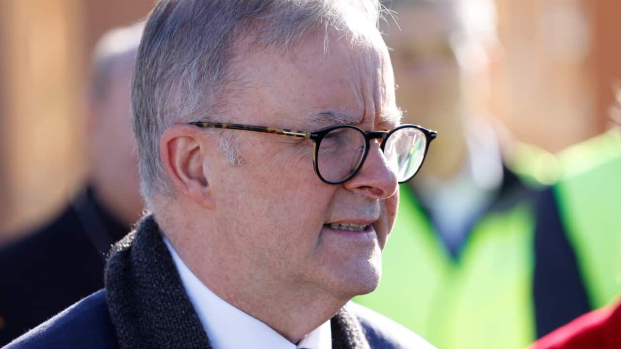 Prime Minister Anthony Albanese