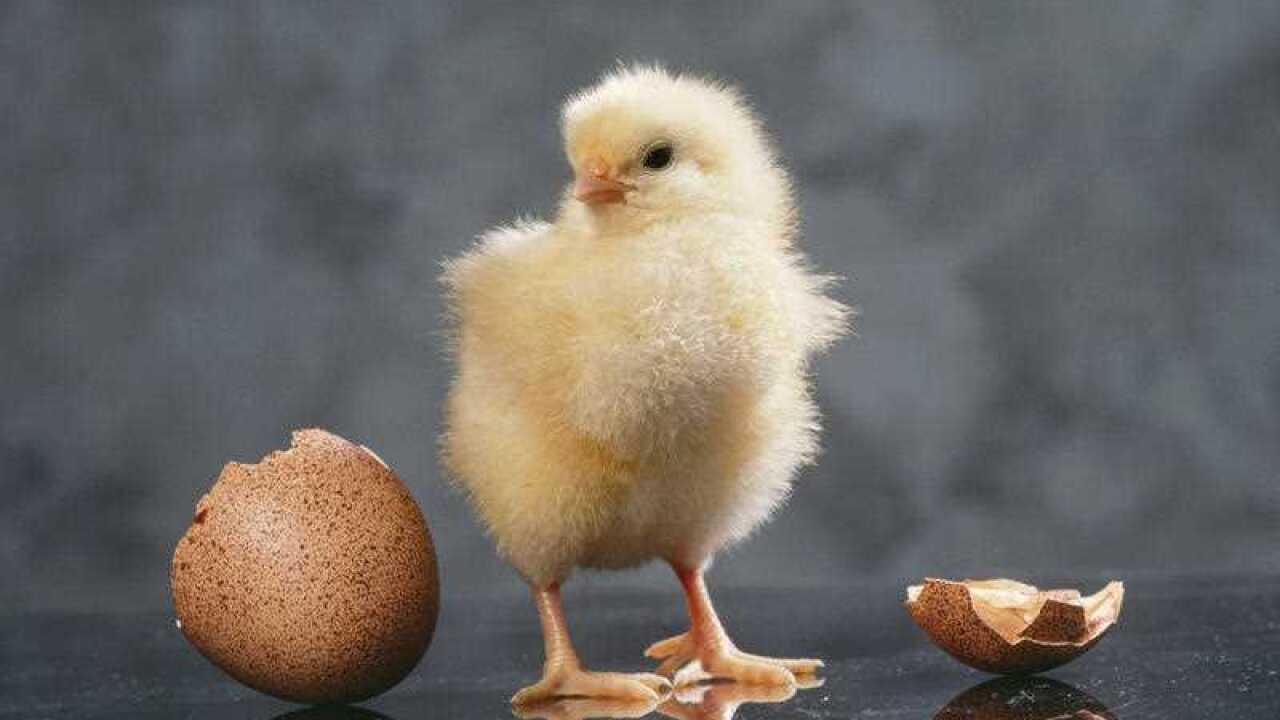 Image for read more article '更多內容'