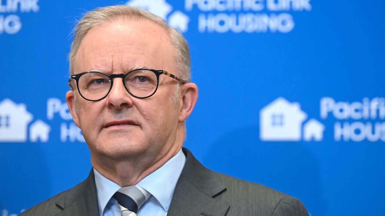 Anthony Albanese wearing a grey blazer standing in front of a blue background.