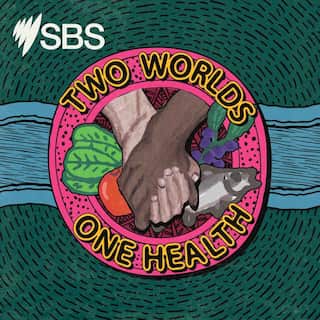 SBS Podcasts_Two Worlds One Health 3000 x 3000 Cover v4.jpg