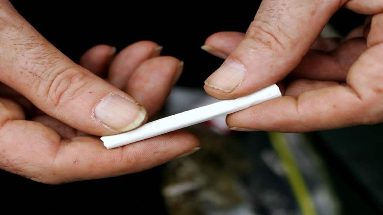 A man rolls a Marijuana joint at a park in Sydney