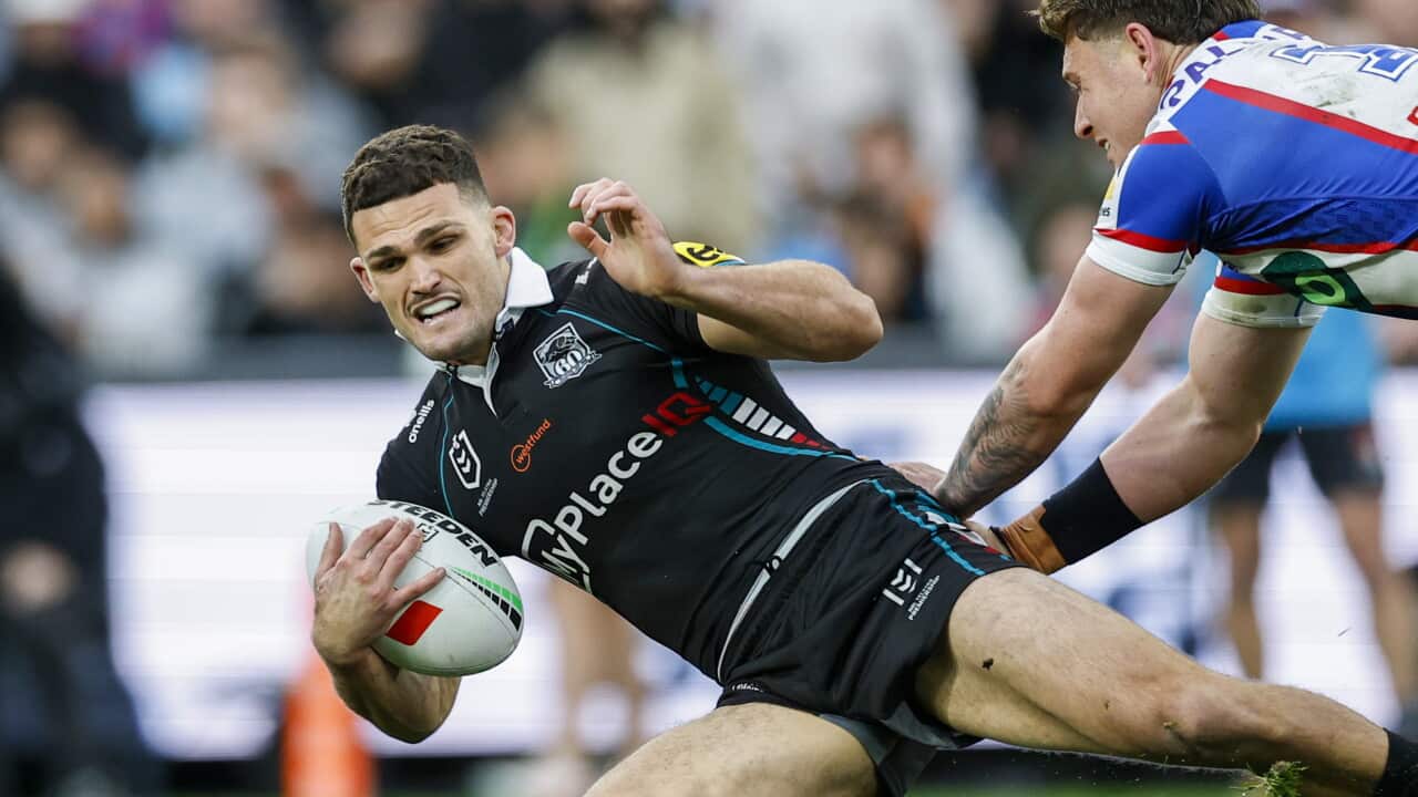 NRL PANTHERS KNIGHTS