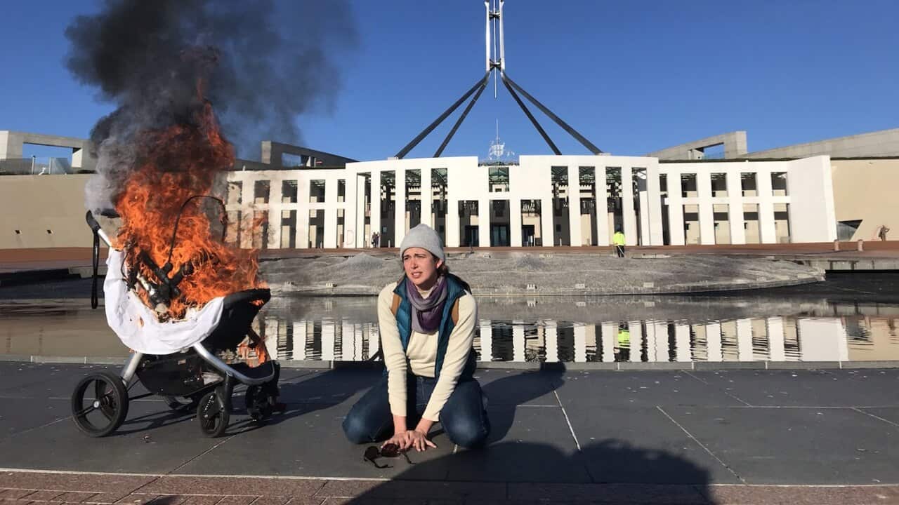 Eight protesters have been arrested for spray painting climate change slogans outside Australia's parliament and Scott Morrison's Canberra residence.