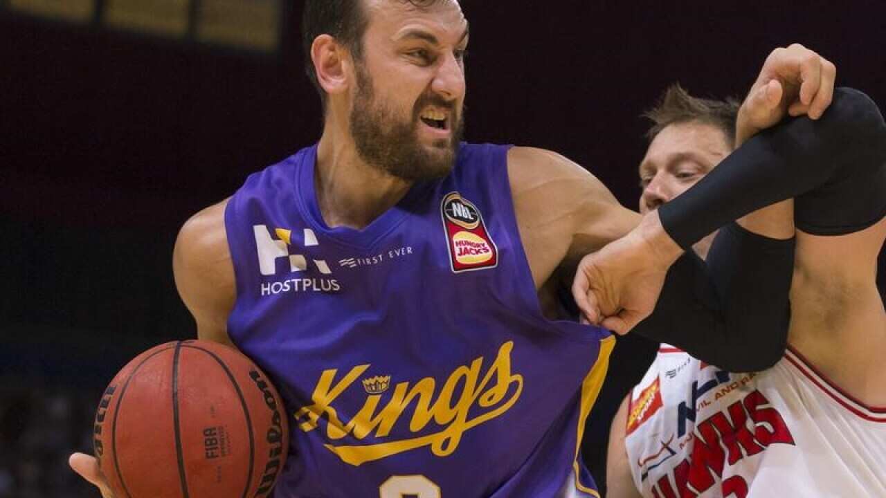 Andrew Bogut