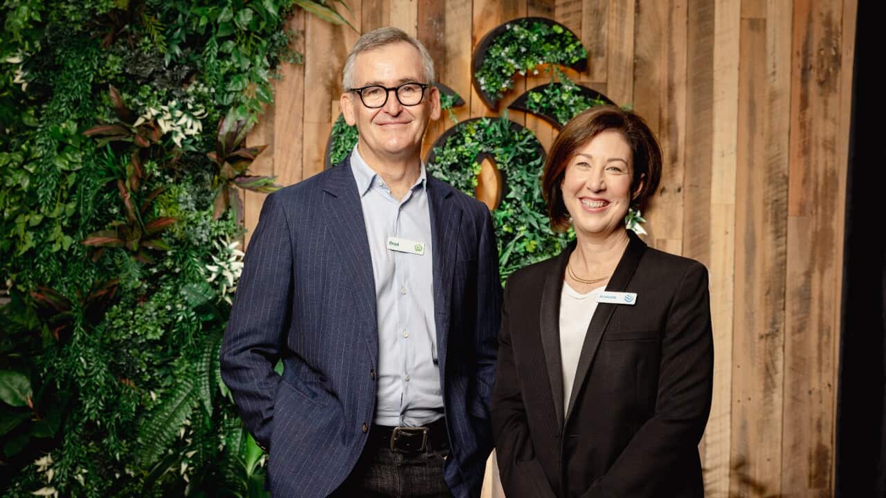 WOOLWORTHS GROUP CEO