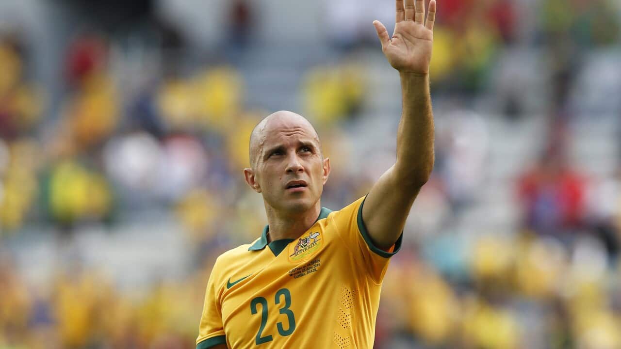 Mark Bresciano