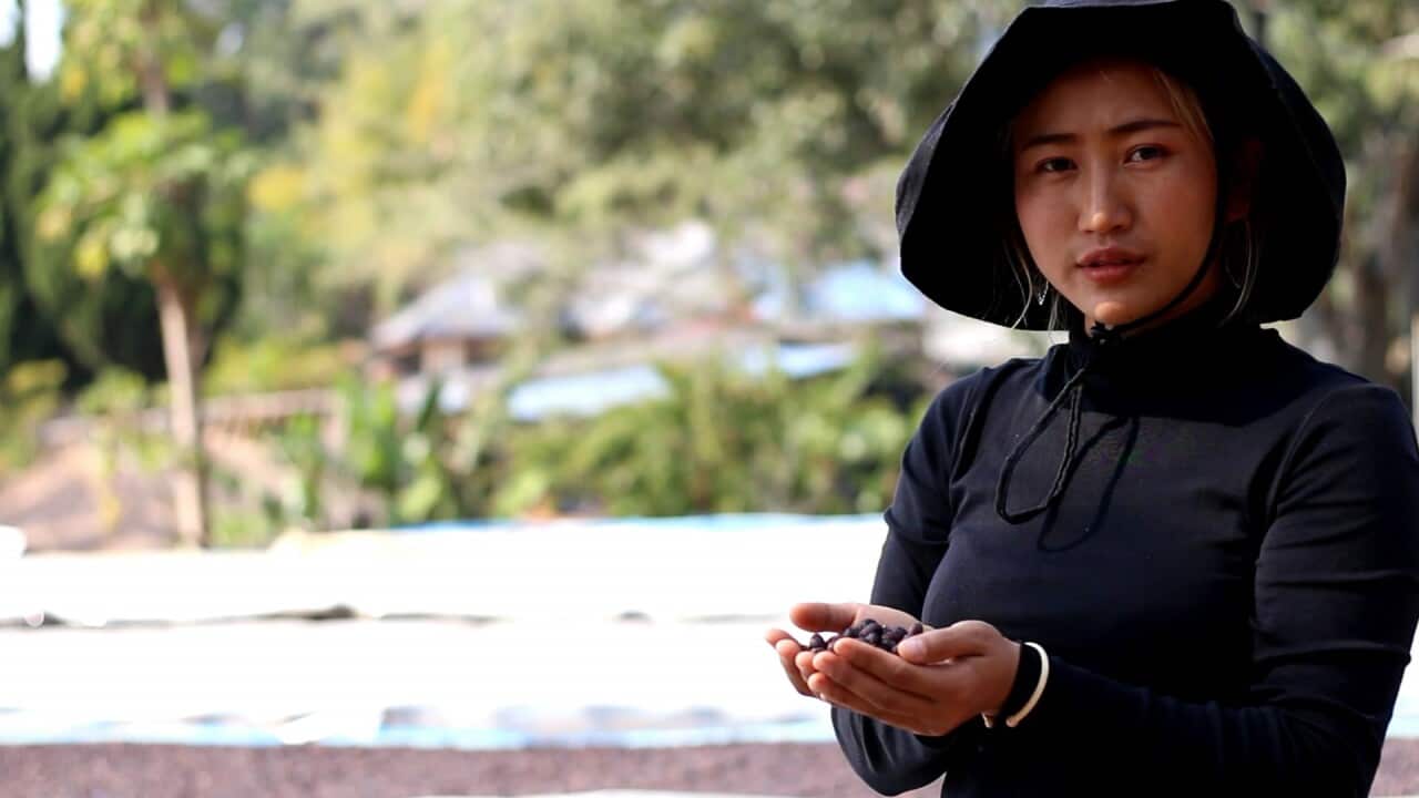 Photo supplied by Toshiyuki Ishiwata