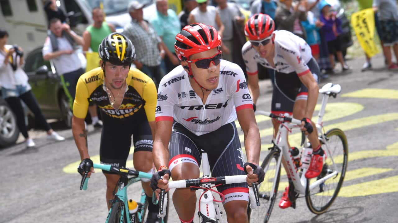 Jarlinson Pantano, Trek-Segafredo, UCI WorldTour