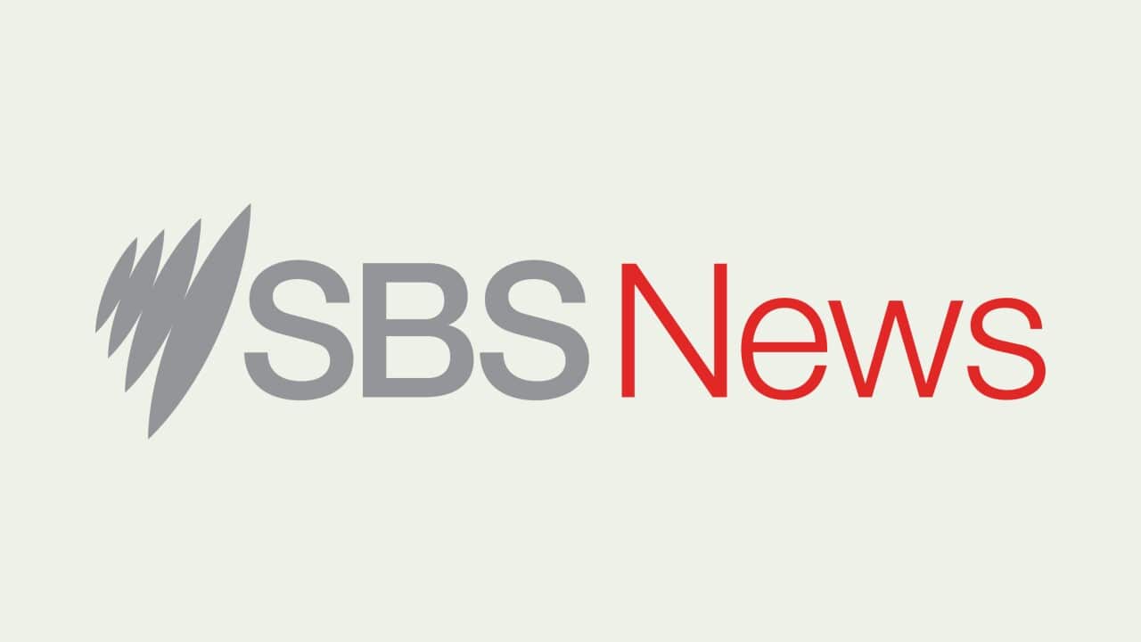 PODCAST SBSNEWS 3000x3000.jpg