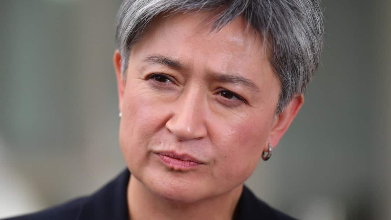 Labor's foreign affairs spokesperson Penny Wong speaks to reporters.