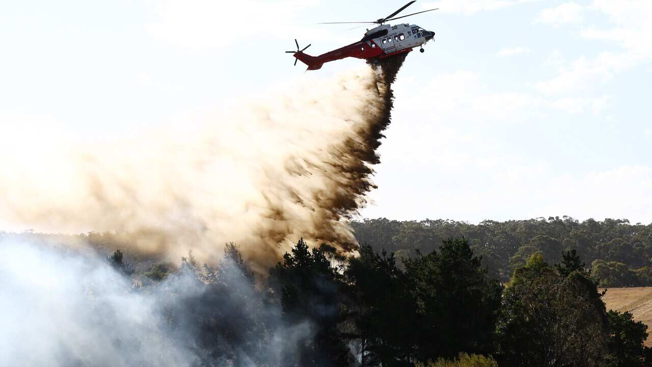 BUSHFIRES VICTORIA