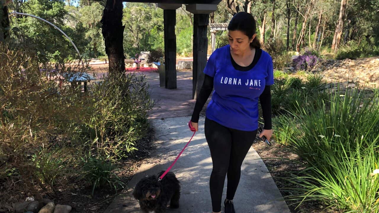 Image for read more article ''