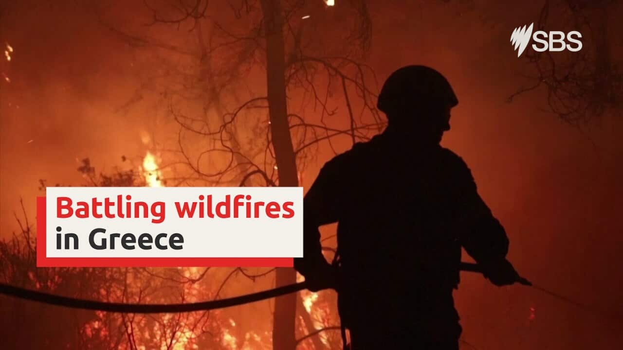 Greek firefighters battle wildfire into the night