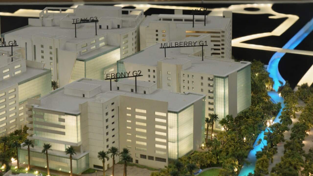 Display Model Mulberry g1