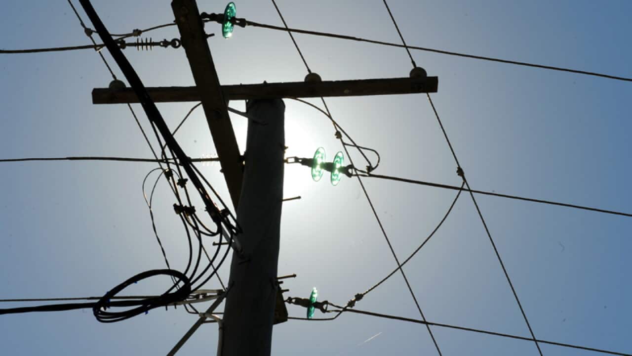 A powerline in Brisbane