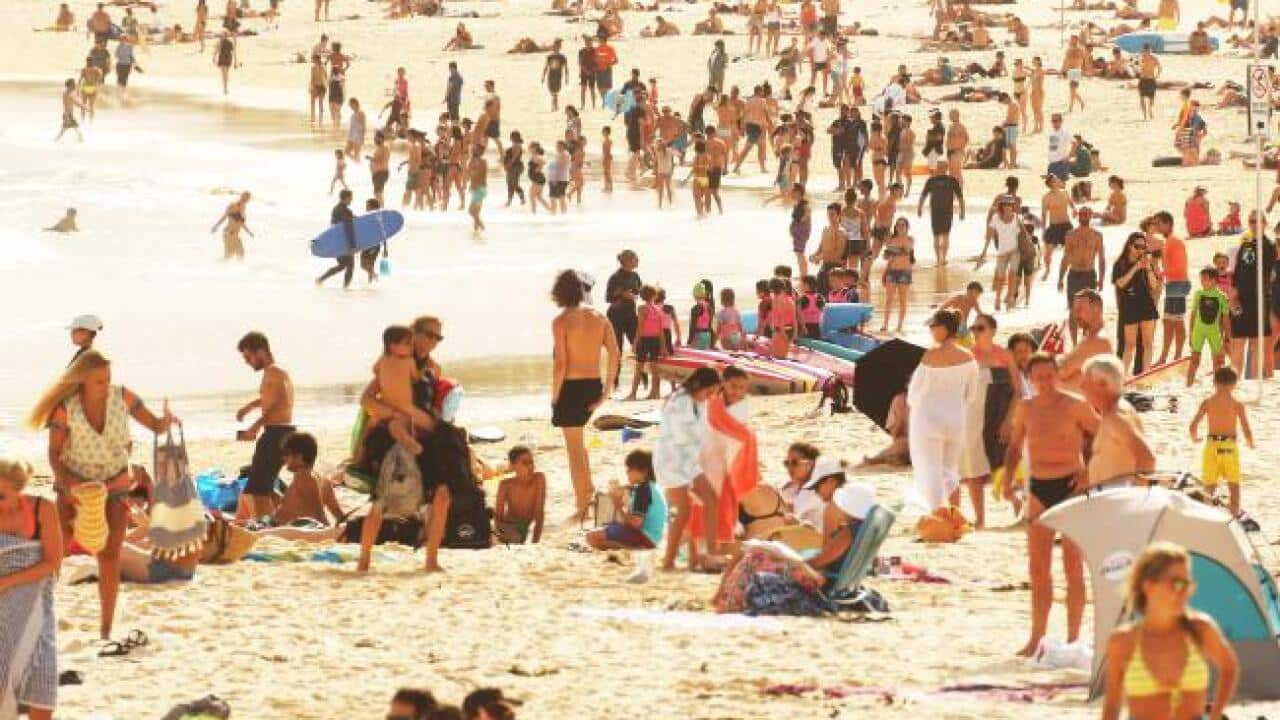 Image for read more article 'READ MORE'