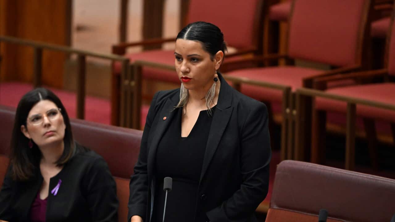 CLOSING THE GAP SENATOR STATEMENTS