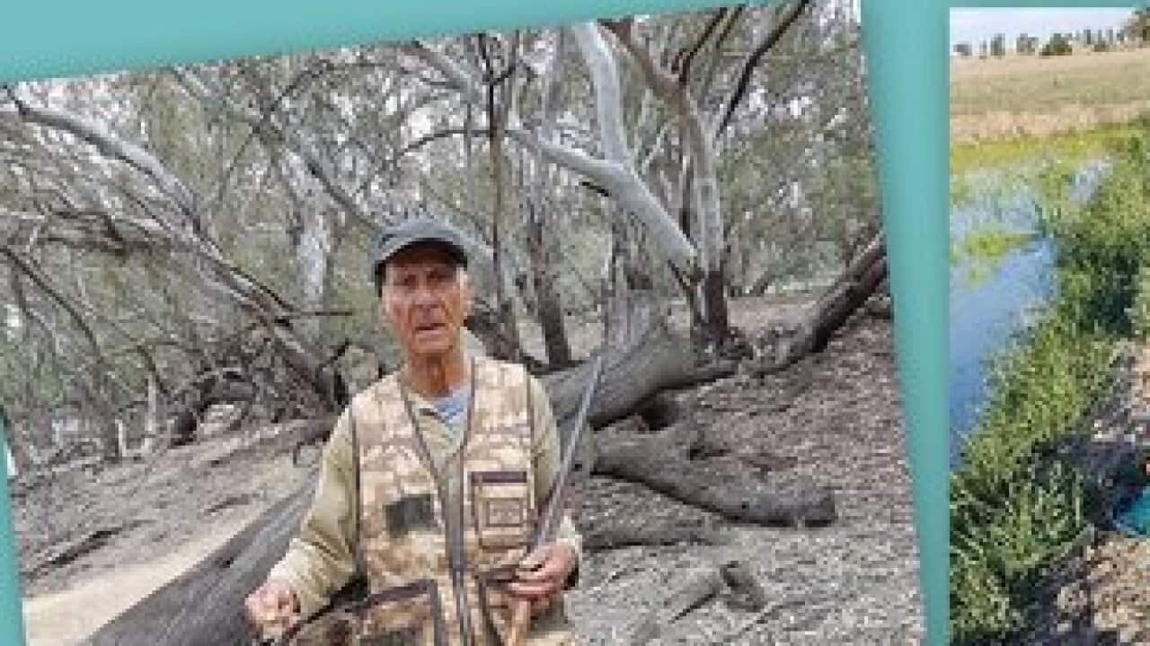 Hunting Ducks season