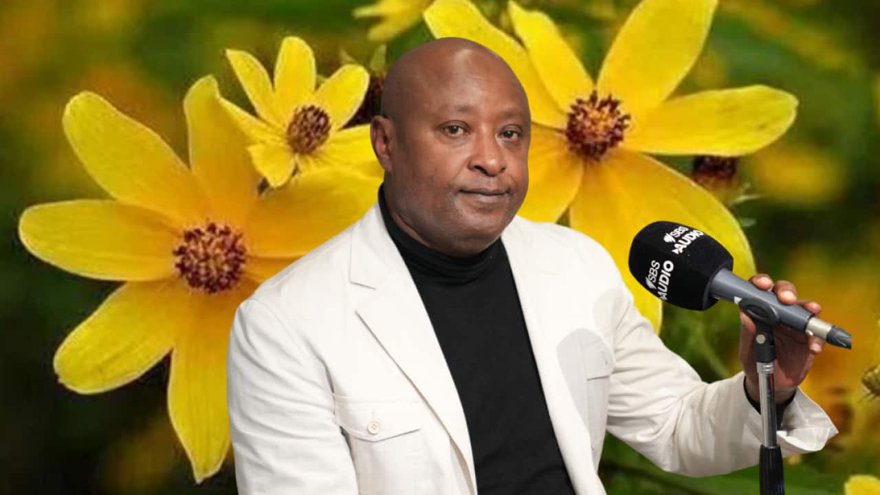 Tesfaye NY 2017.png
