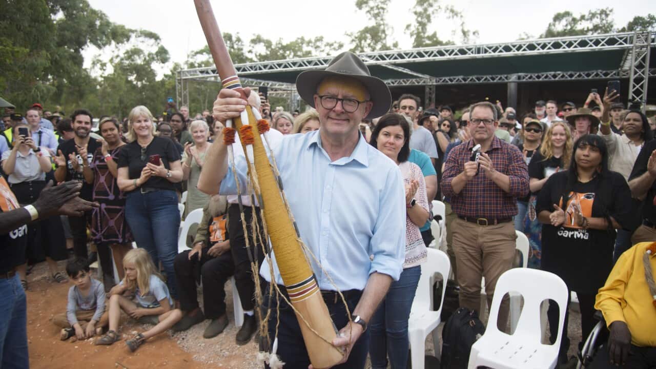 Prime Minister Albanese Garma