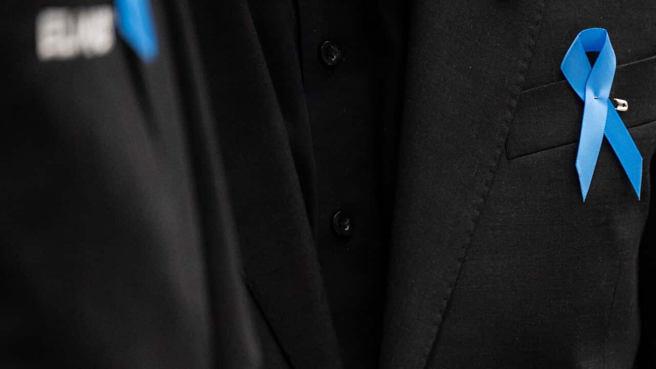 Ishockey, SHL, HV71 - Leksand