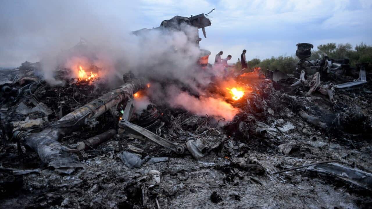 Malaysia Arilines flight MH17