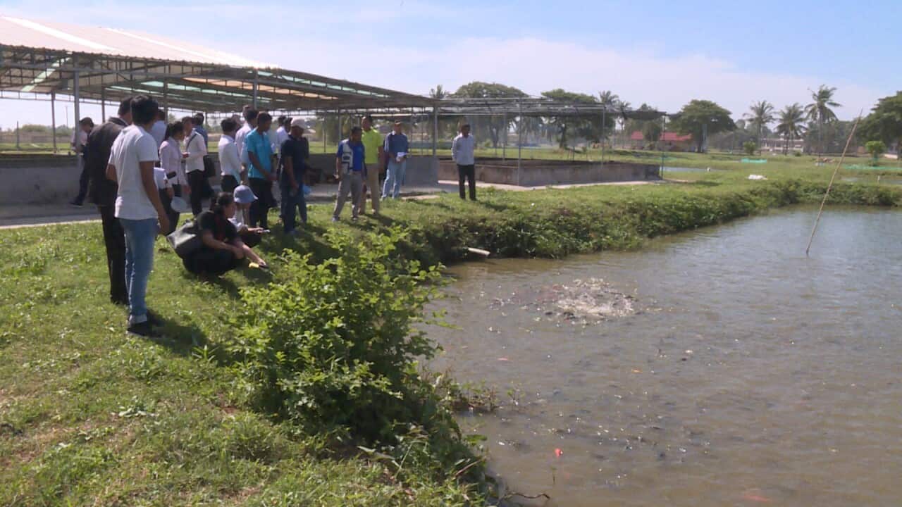 Officials visiting a fish pond