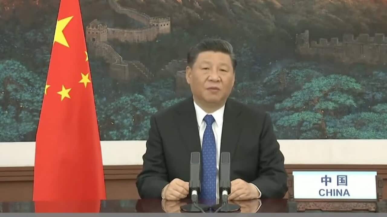 Chinese President Xi Jinping spoke to members of the World Health Assembly