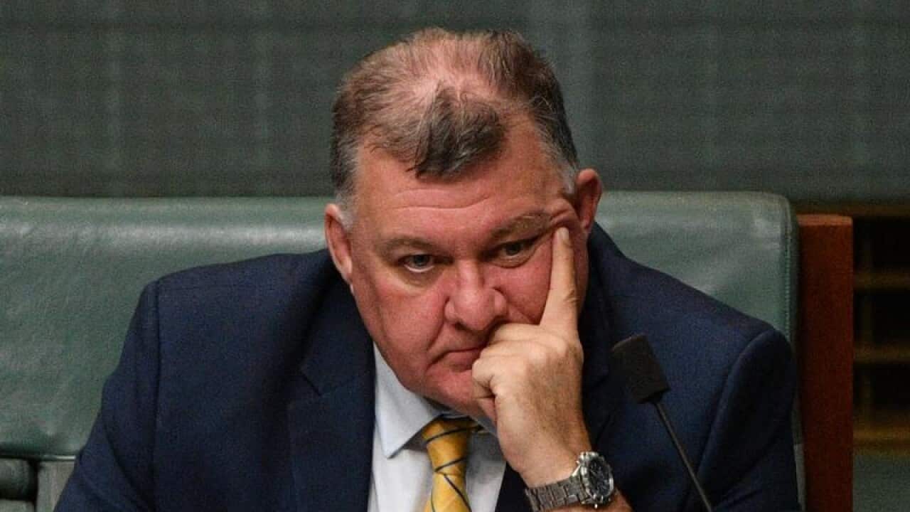 Liberal Member for Hughes Craig Kelly has been forced to apologise over his MH17 comments.
